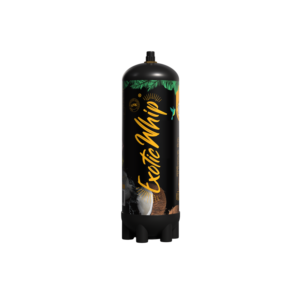 Exotic Whip - Scatola Gusti Misti - 6 Bombole da 670gr