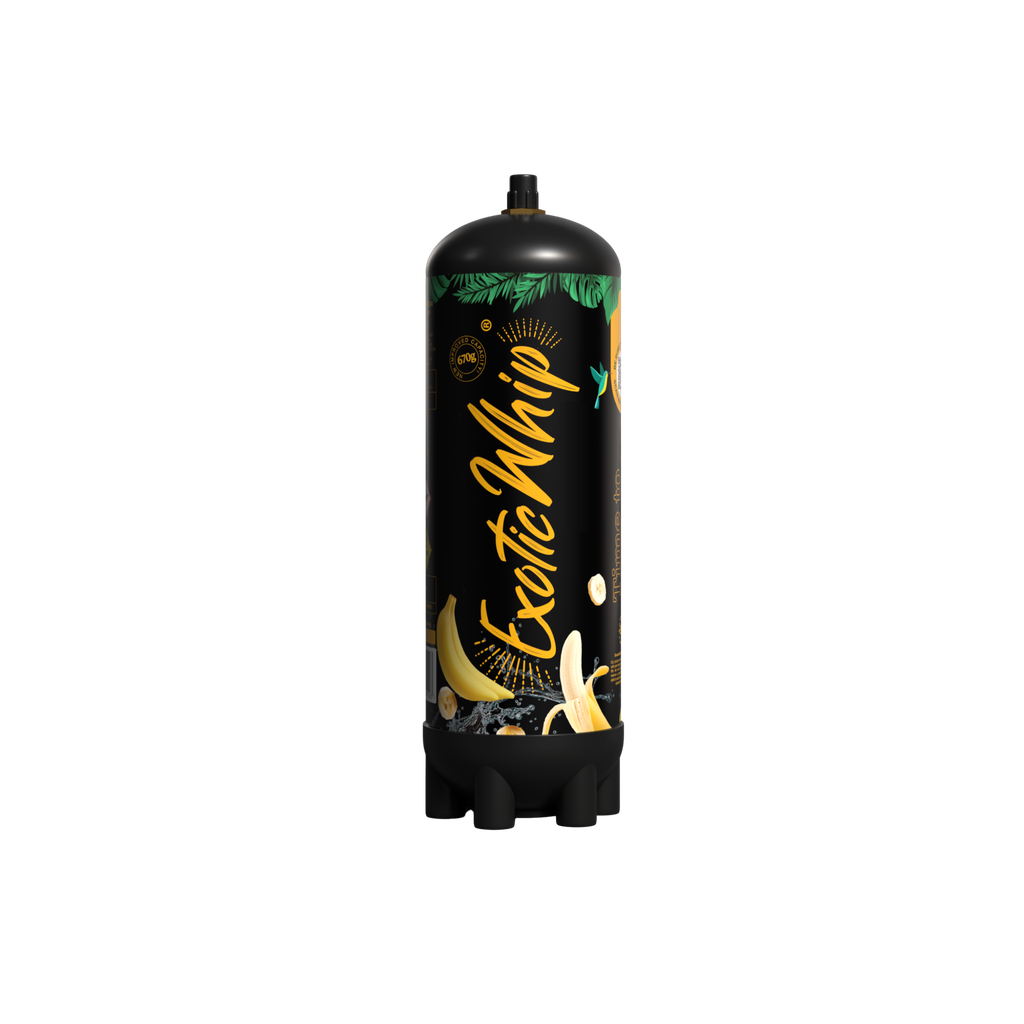 Exotic Whip - Scatola Gusti Misti - 6 Bombole da 670gr