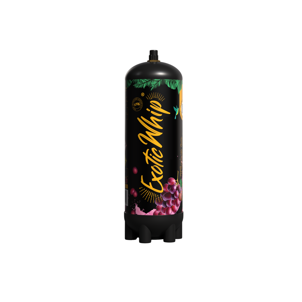 Exotic Whip - Scatola Gusti Misti - 6 Bombole da 670gr