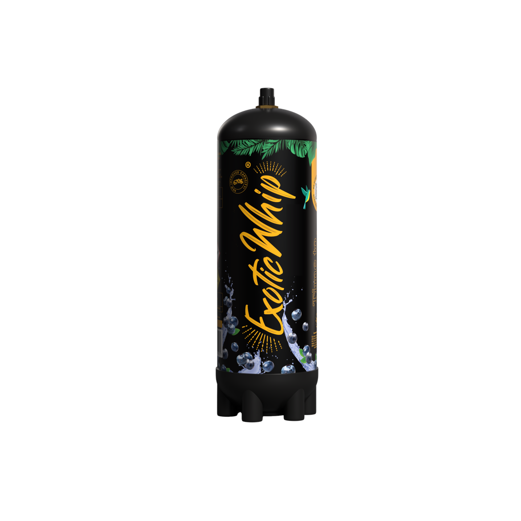 Exotic Whip - Scatola Gusti Misti - 6 Bombole da 670gr